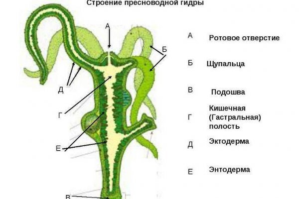 Сайт kraken зеркала