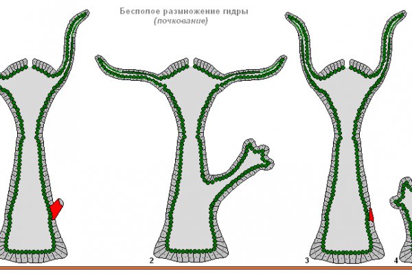 Регистрация кракен