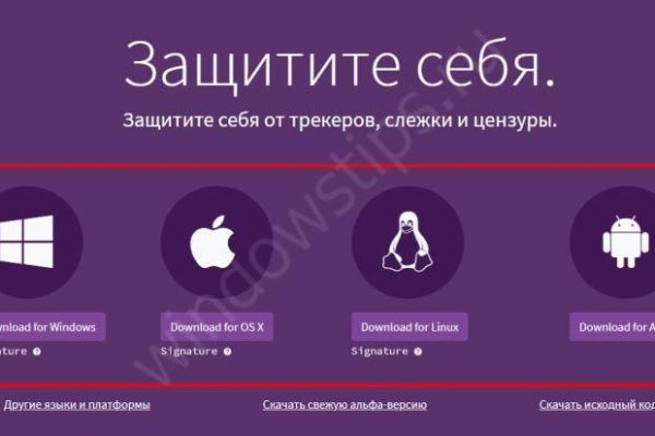 Рабочее зеркало на кракен