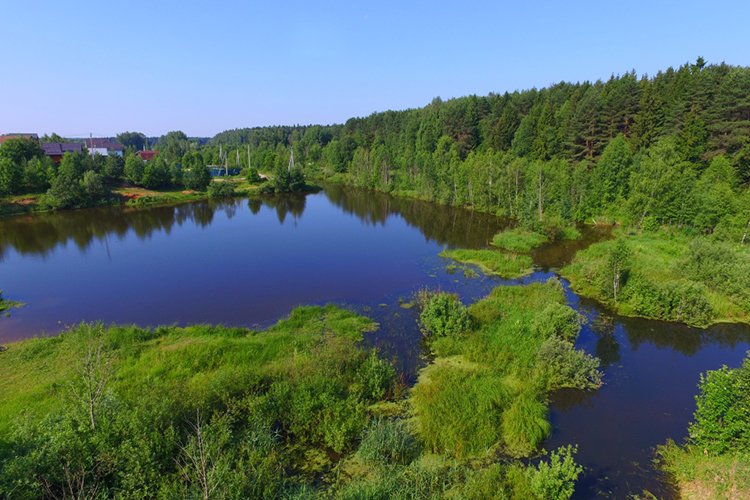 Модератор на кракене